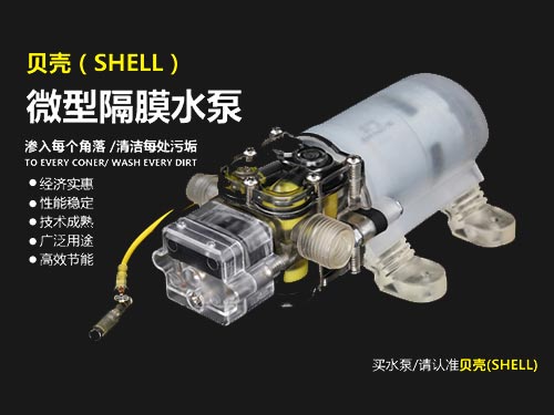 Crystal transparent micro diaphragm variable frequency pump